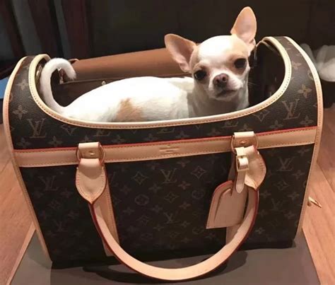 sac louis vuitton pour chien prix